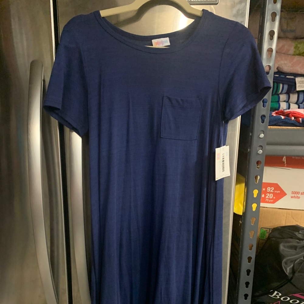 LulaRoe BNWT Carly dress